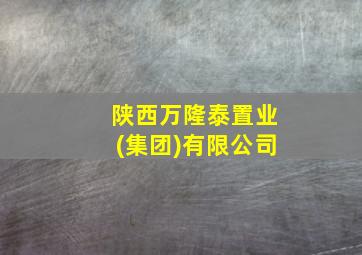 陕西万隆泰置业(集团)有限公司