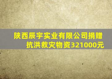 陕西辰宇实业有限公司捐赠抗洪救灾物资321000元