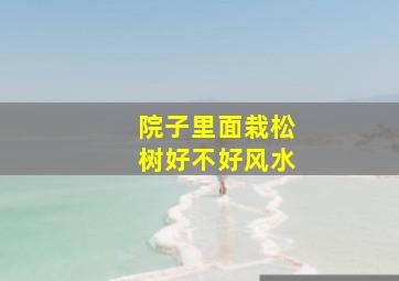 院子里面栽松树好不好风水