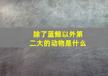 除了蓝鲸以外第二大的动物是什么