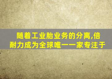 随着工业胎业务的分离,倍耐力成为全球唯一一家专注于