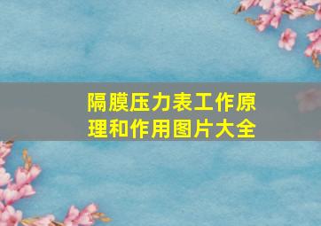 隔膜压力表工作原理和作用图片大全