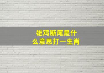 雄鸡断尾是什么意思打一生肖