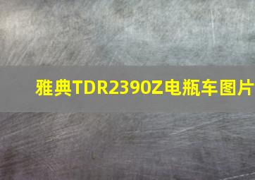 雅典TDR2390Z电瓶车图片