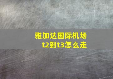 雅加达国际机场t2到t3怎么走