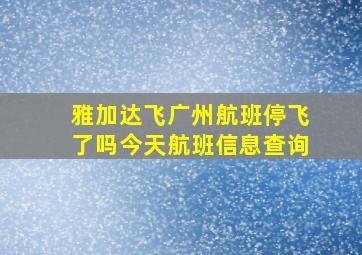 雅加达飞广州航班停飞了吗今天航班信息查询