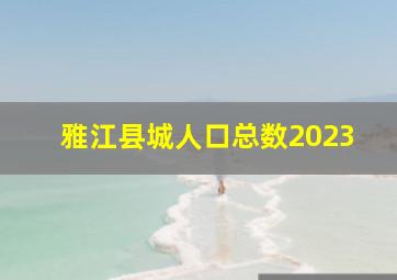 雅江县城人口总数2023