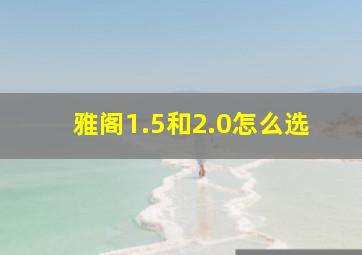 雅阁1.5和2.0怎么选