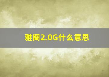 雅阁2.0G什么意思