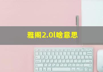 雅阁2.0l啥意思