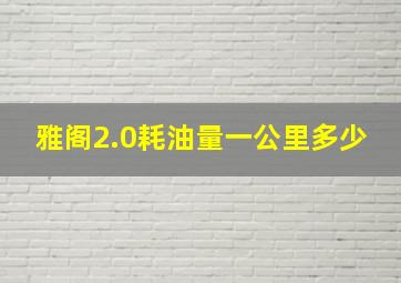 雅阁2.0耗油量一公里多少