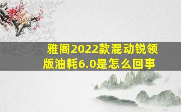 雅阁2022款混动锐领版油耗6.0是怎么回事