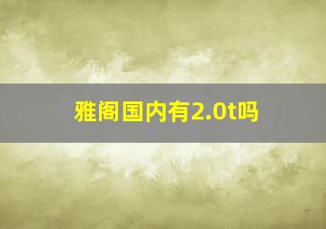 雅阁国内有2.0t吗