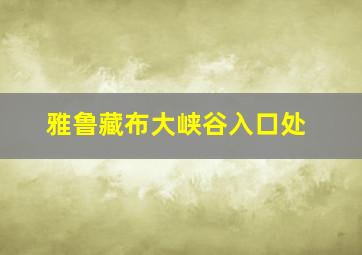 雅鲁藏布大峡谷入口处