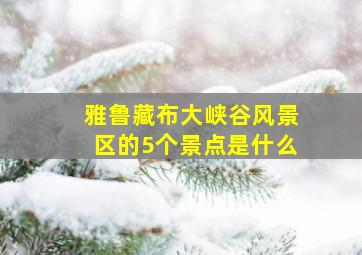 雅鲁藏布大峡谷风景区的5个景点是什么