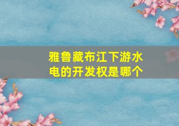 雅鲁藏布江下游水电的开发权是哪个