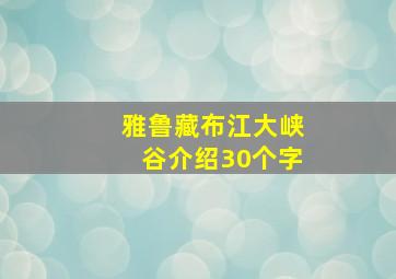 雅鲁藏布江大峡谷介绍30个字