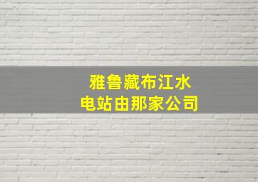 雅鲁藏布江水电站由那家公司