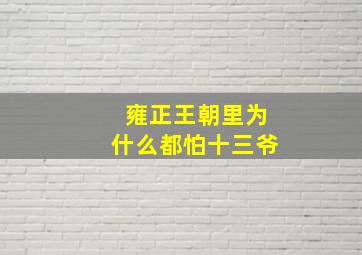 雍正王朝里为什么都怕十三爷