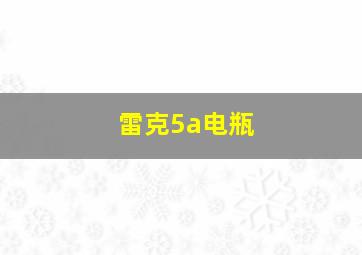 雷克5a电瓶