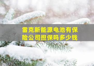 雷克新能源电池有保险公司担保吗多少钱