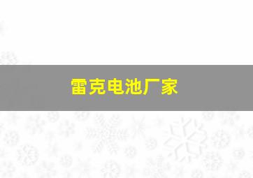 雷克电池厂家