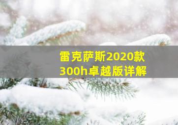 雷克萨斯2020款300h卓越版详解