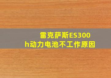 雷克萨斯ES300h动力电池不工作原因