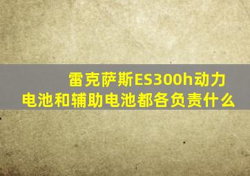 雷克萨斯ES300h动力电池和辅助电池都各负责什么