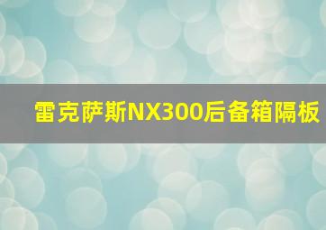 雷克萨斯NX300后备箱隔板