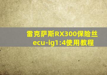 雷克萨斯RX300保险丝ecu-ig1:4使用教程