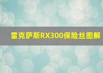 雷克萨斯RX300保险丝图解