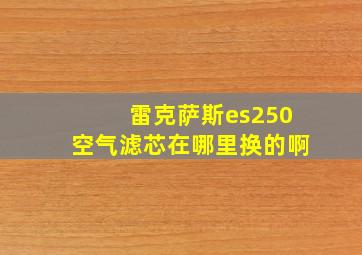 雷克萨斯es250空气滤芯在哪里换的啊