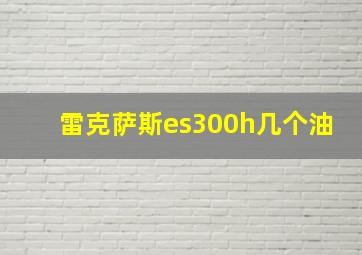 雷克萨斯es300h几个油