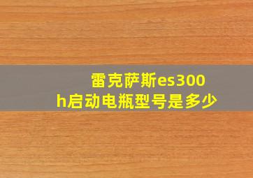 雷克萨斯es300h启动电瓶型号是多少