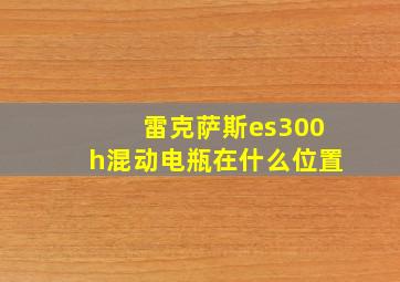 雷克萨斯es300h混动电瓶在什么位置