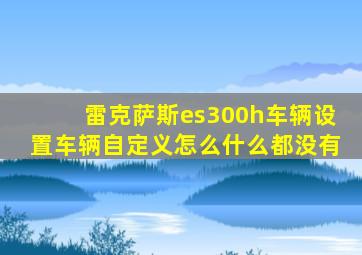 雷克萨斯es300h车辆设置车辆自定义怎么什么都没有