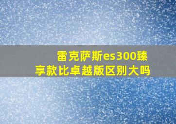 雷克萨斯es300臻享款比卓越版区别大吗