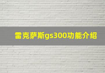 雷克萨斯gs300功能介绍