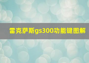 雷克萨斯gs300功能键图解