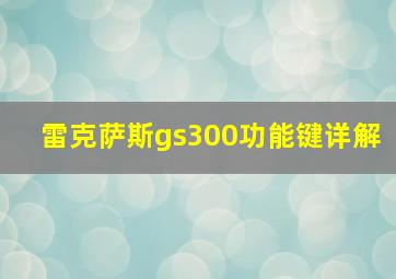 雷克萨斯gs300功能键详解