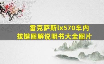 雷克萨斯lx570车内按键图解说明书大全图片