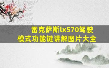 雷克萨斯lx570驾驶模式功能键讲解图片大全