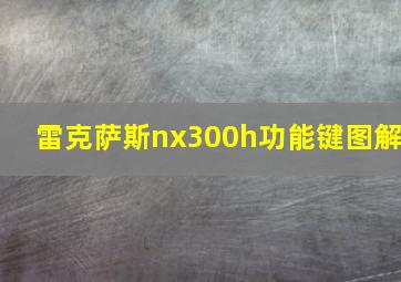 雷克萨斯nx300h功能键图解