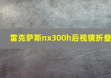 雷克萨斯nx300h后视镜折叠