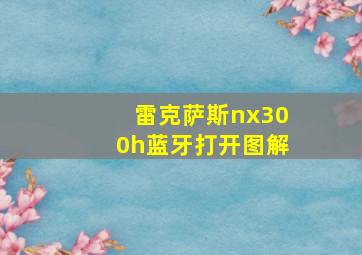 雷克萨斯nx300h蓝牙打开图解