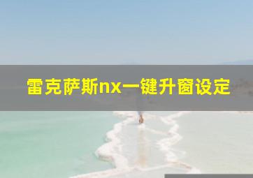 雷克萨斯nx一键升窗设定