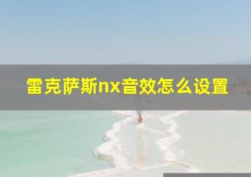 雷克萨斯nx音效怎么设置