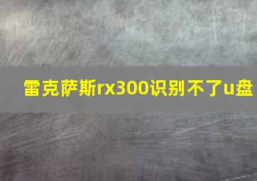 雷克萨斯rx300识别不了u盘