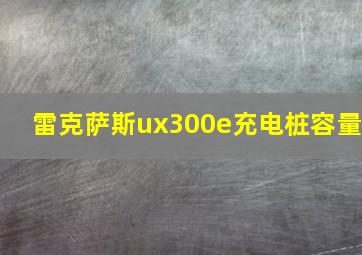 雷克萨斯ux300e充电桩容量